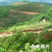 福州闽侯旗山(shān)山(shān)地100亩转让可(kě)分(fēn)割