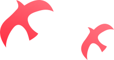 显格“业務(wù)管理(lǐ)系统”1.0版本产(chǎn)品发布会圆满结束(图6)