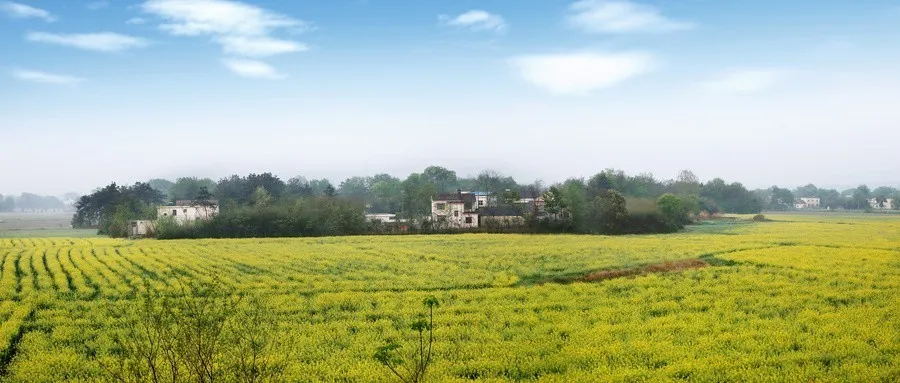 双店(diàn)齐飞 | 热烈祝贺房立得仙女山(shān)租售中(zhōng)心两家门店(diàn)盛大开业！(图20)
